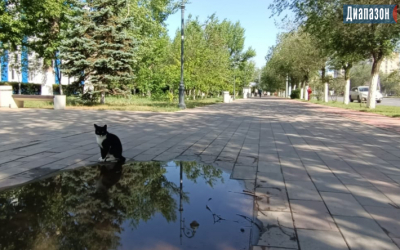 Погода в Актобе на 11-13 июня