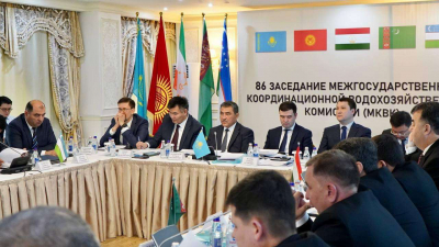 922 млн кубометров воды получит Казахстан из Узбекистана в поливной период 2024 года